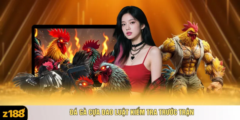 Đá gà cựa dao luật kiểm tra trước trận