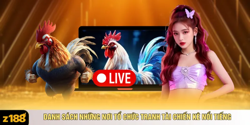 Danh sách những nơi tổ chức tranh tài chiến kê nổi tiếng