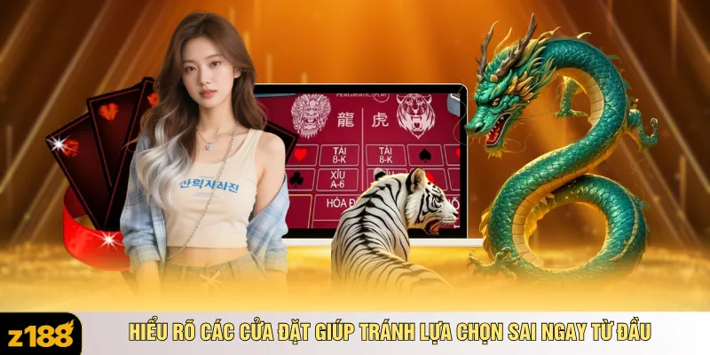Hiểu rõ các cửa đặt giúp tránh lựa chọn sai ngay từ đầu