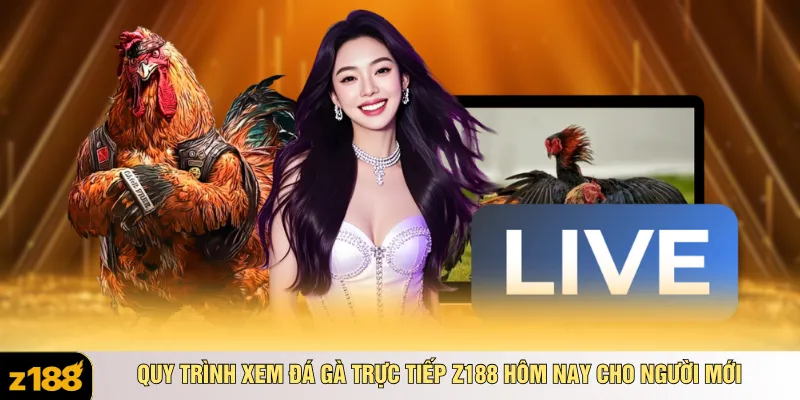Quy trình xem đá gà trực tiếp z188 hôm nay cho người mới
