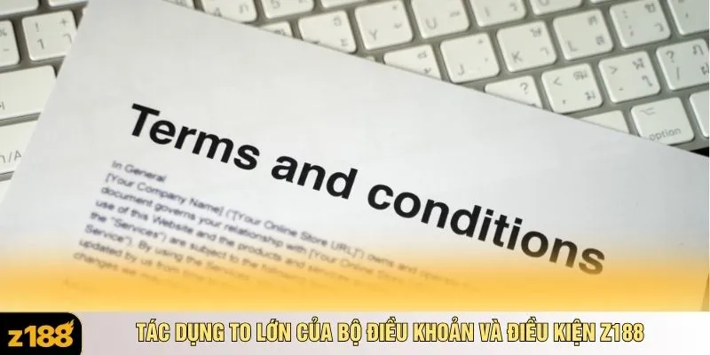 Tác dụng to lớn của bộ điều khoản và điều kiện Z188