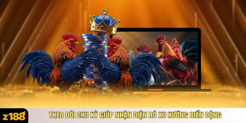 Theo dõi chu kỳ giúp nhận diện rõ xu hướng biến động